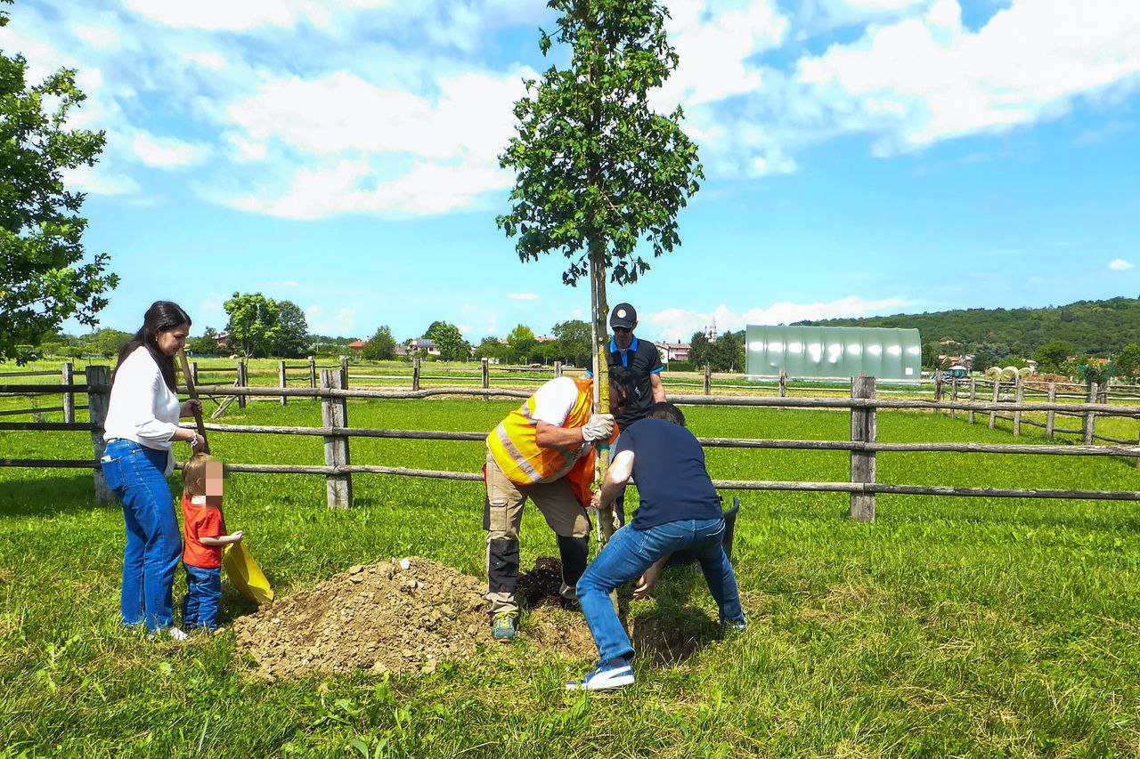 Immagine per Medea, tre alberi per festeggiare 14 nuovi nati nella comunità